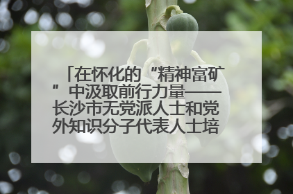 在怀化的“精神富矿”中汲取前行力量——长沙市无党派人士和党外知识分子代表人士培训班在怀化圆满举办
